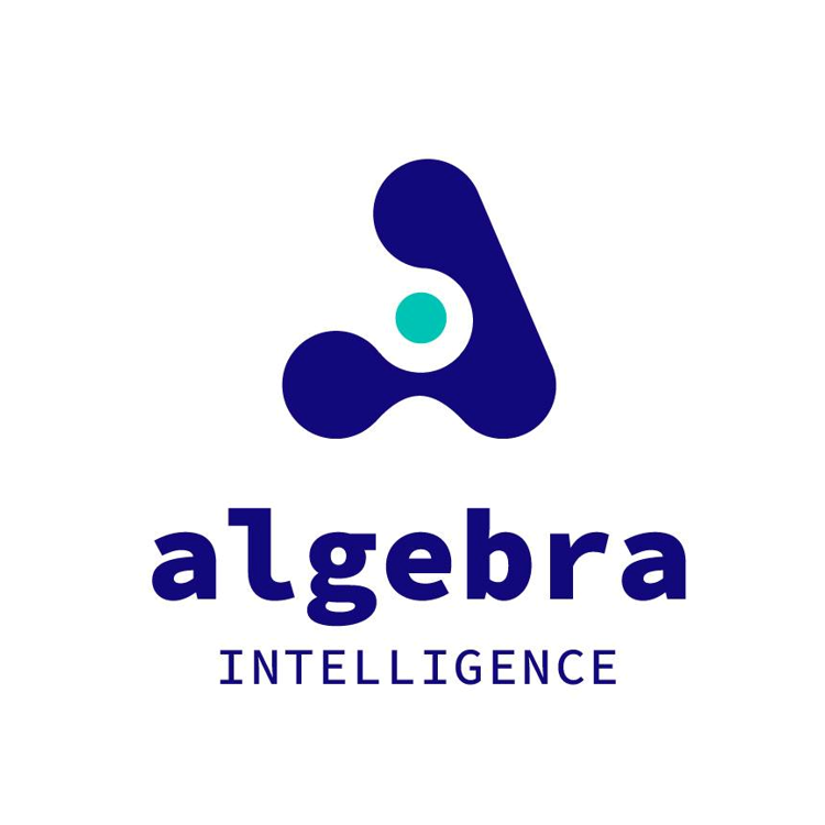 ALGEBRA INTELLIGENCE